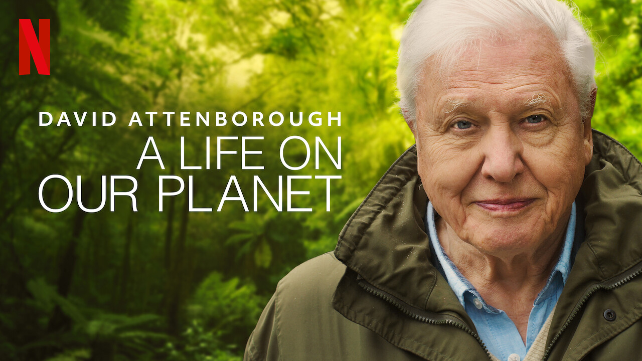 RECENZE: David Attenborough v dokumentu Život na naší planetě předkládá řešení, jak zachránit planetu Zemi