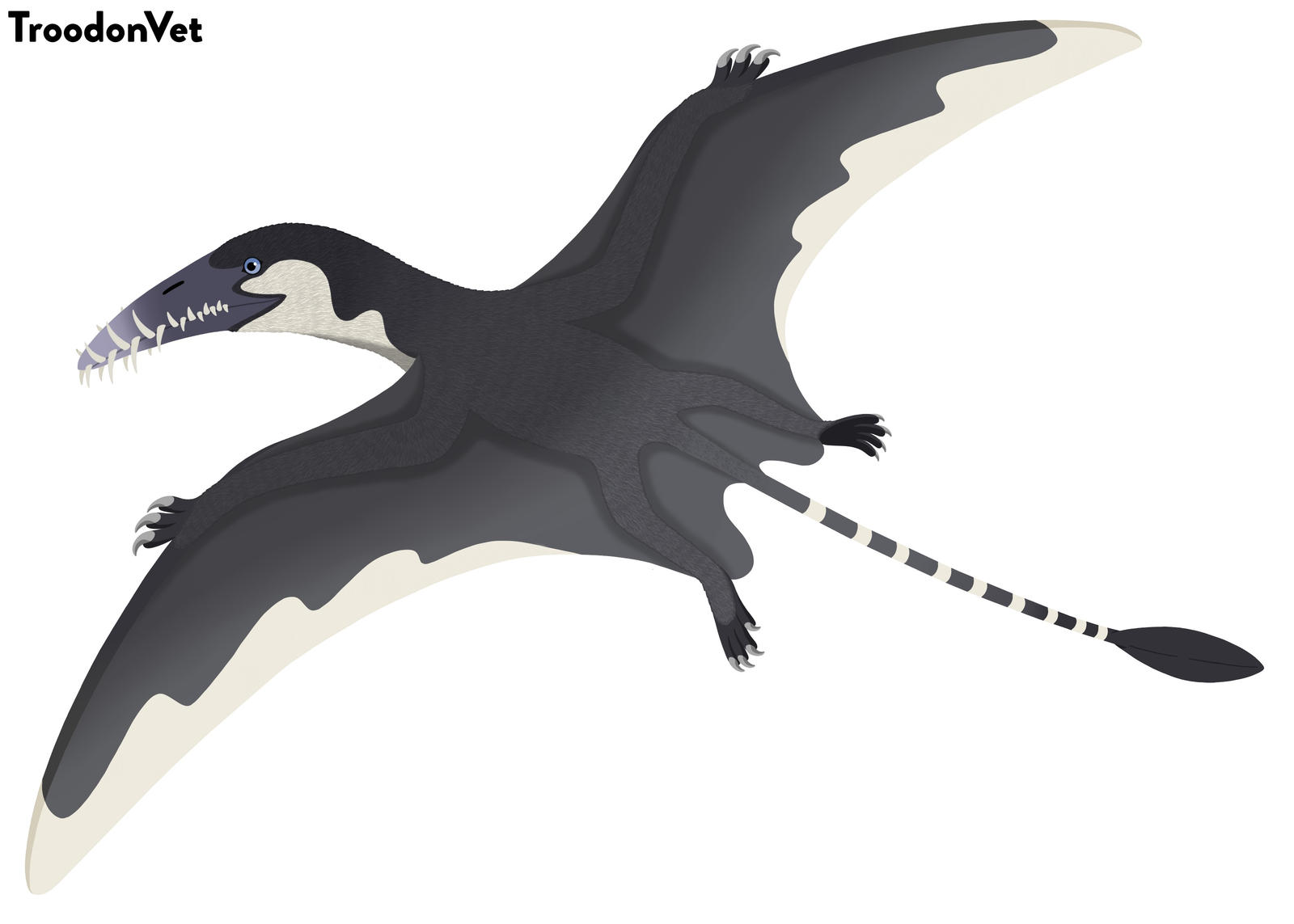 Vývoj velkých pterosaurů se posunul v čase
