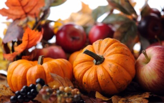 Podzim na talíři aneb dýňové recepty, které se hodí pro každou příležitost