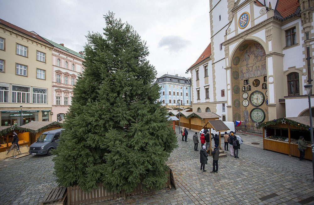 Olomouc zvolila na Horní náměstí netradiční vánoční stromek