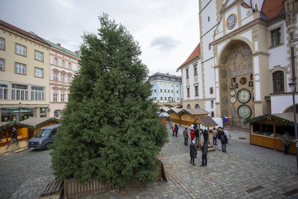 Olomouc zvolila na Horní náměstí netradiční vánoční stromek