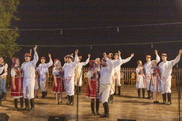 Folklor jako nástroj kulturní identity v době globalizace. Má i nadále budoucnost? 