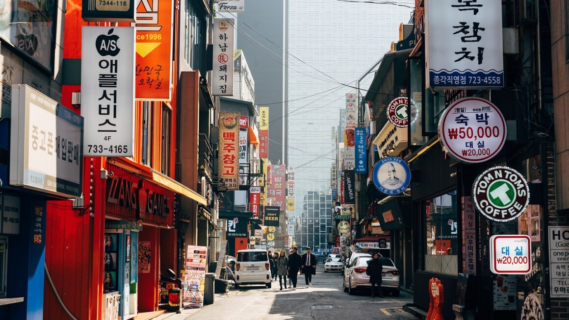 Letenka, platební karta a telefon. Jižní Korea je zemí, kterou si oblíbí každý introvert
